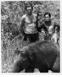 Jock Mahoney as Tarzan