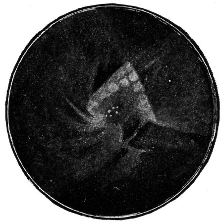 Fig. 20.Sextuple star ? in the Nebula of Orion.