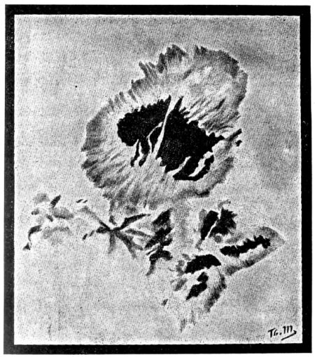 Fig. 30.Telescopic aspect of a Sun-Spot.