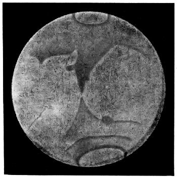Fig. 41.Telescopic aspect of the planet Mars (Feb.,1901).