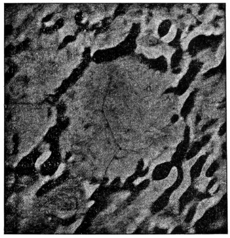 Fig. 73.Flammarion's Lunar Ring.