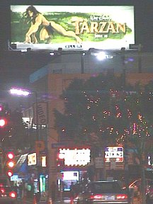 Tarzan King of Hollywood: In His Lair High Over Hollywood Boulevard