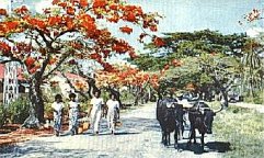 Fiji Village Lautoka