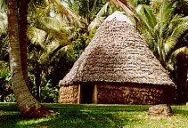 Thatched Hut