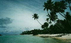 Tarawa Beach