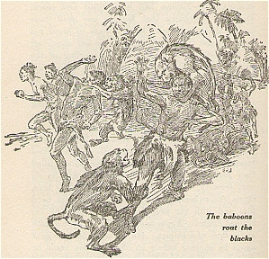 XV. The baboons rout the blacks