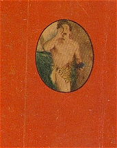 TARZAN THE FEARLESS ~ Whitman Big Little Book