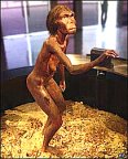 Previous oldest pre-human: Lucy