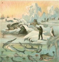 Sea and Land illustration