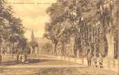 Overall view of the Yale University Campus