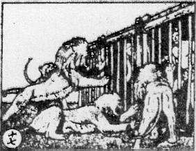 Card 17: Tarzan and Sherry were in the cage. The lions couldn't get in. He was mad and didn't know what to do.