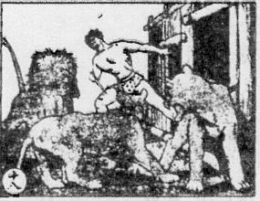 Card 18: Suddenly Tarzan opened the gate of the cage. He stared and roared at the lions. Three lions were scared and were unable to move.