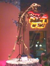 Strange Creatures Roam the Walk of Stars After Dark