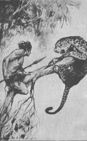 The limb bent beneath the weight of the two