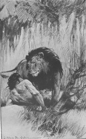 The lion stood stradling Tarzan with his paws