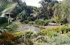 Botanical Gardens, Sydney, Australia