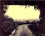 Grape Arbor and Driveway