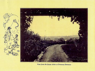 View from the Grape Arbor at Driveway Entrance