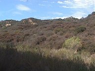 Tarzana Ranch gullies, hills, canyons, washes