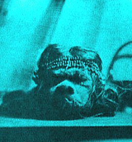 Shrunken Head