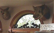 Mounted boar and wild animals framing a stained glass window