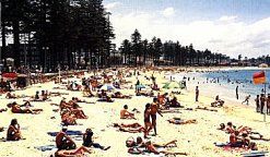 Manly Beach