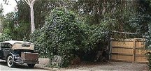 John and Bill pull out of driveway for a tour of Tarzana