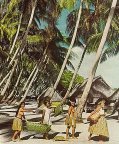 Tarawa palms and natives