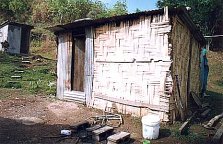 Native thatched building with latrine at rear