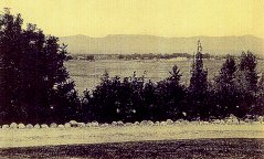 Valley Panorama from North Driveway