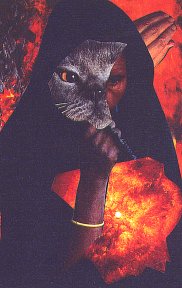 Way of the Shaman