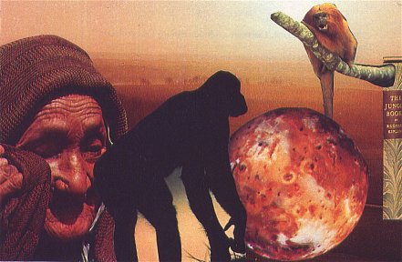 Origin of Species