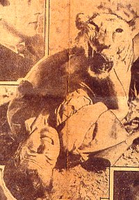 Neil Hamilton in Tarzan and His Mate