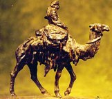 Bedouin on Camel