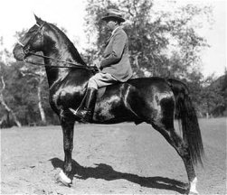 Ed on one of his prize horses