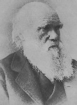 Darwin