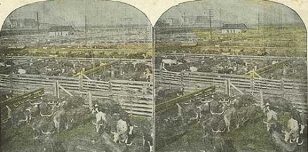Union Stock Yards and Packing Houses