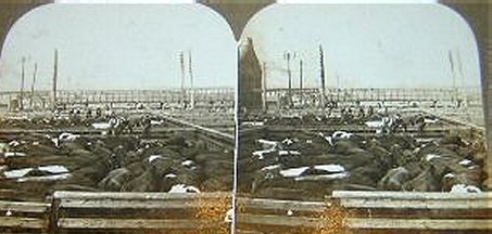 Stock Yards