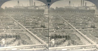 Great Union Stockyards: Largest Live Stock Market On Earth