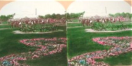 Lincoln Park Flower Beds