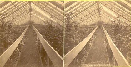 Inside the Conservatory