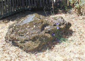 JL ashes placed under a volcanic rock at Beauty Ranch.