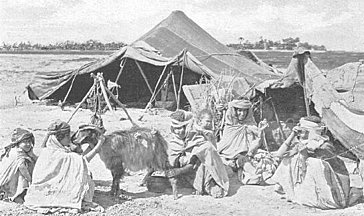 Bedouin Camp