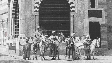 Donkey Boys in Streets of Cairo