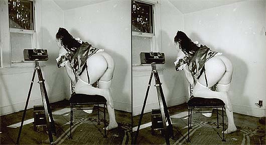 Using a stereoview camera