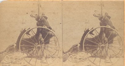 Japanese Cart