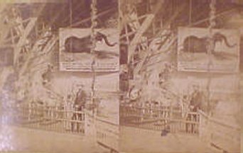 Natural History Exhibit