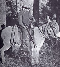 Romer at Tonto Basin on first mount