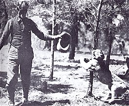 Buffalo Jones and lions