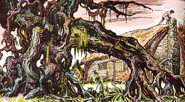 Burne Hogarth